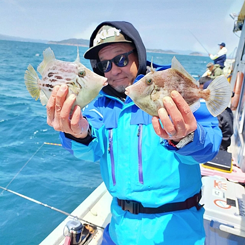 カワハギの釣果