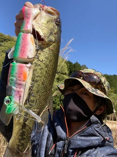 ブラックバスの釣果