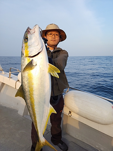 ヒラマサの釣果