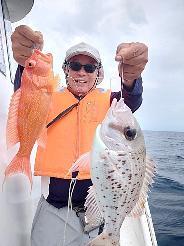 シロダイの釣果