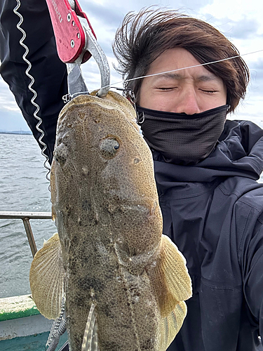 マゴチの釣果