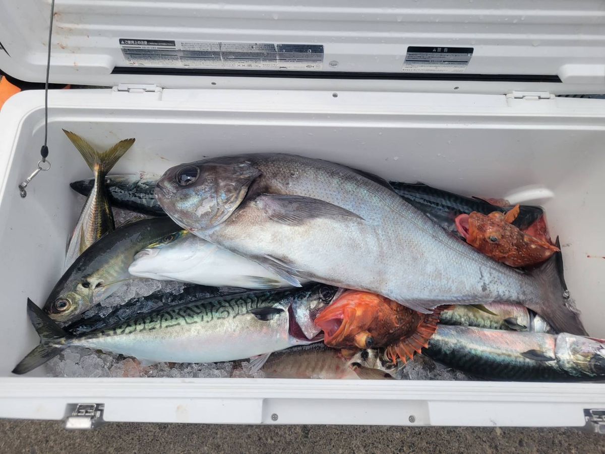 ホクロさんの釣果 1枚目の画像