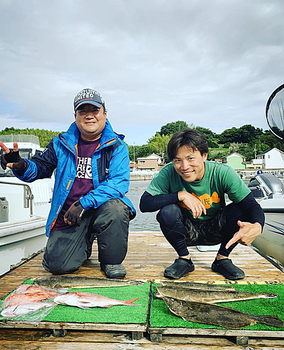 マゴチの釣果