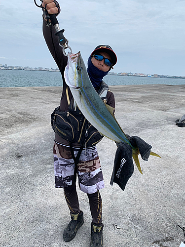 ツムブリの釣果