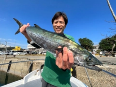 サワラの釣果