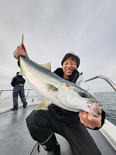 ワラサの釣果