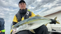 ワラサの釣果