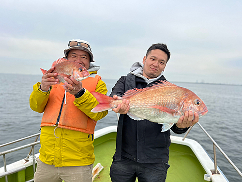 マダイの釣果