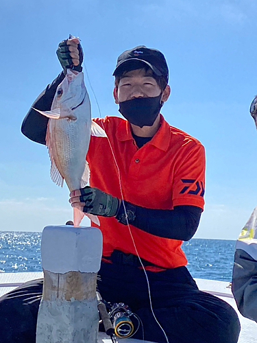 タイの釣果