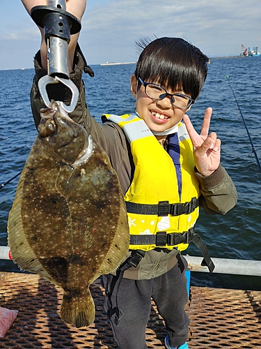 カレイの釣果