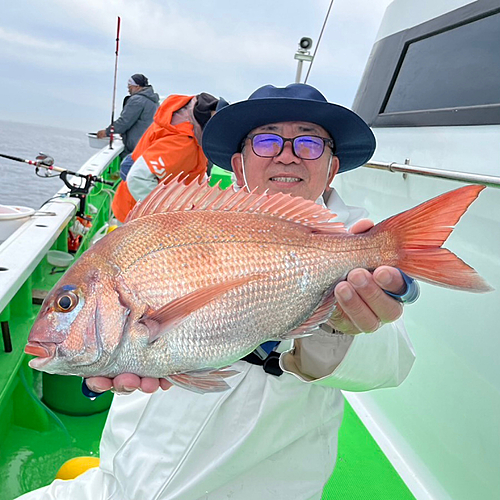 マダイの釣果