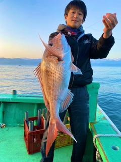 マダイの釣果