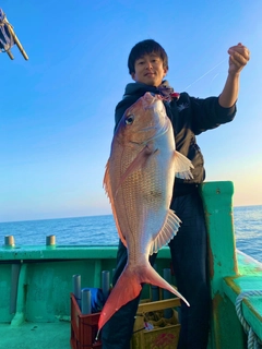 マダイの釣果