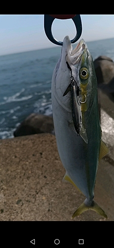 釣果