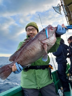 マハタの釣果