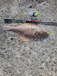 イシモチの釣果