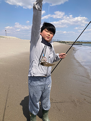 シタビラメの釣果