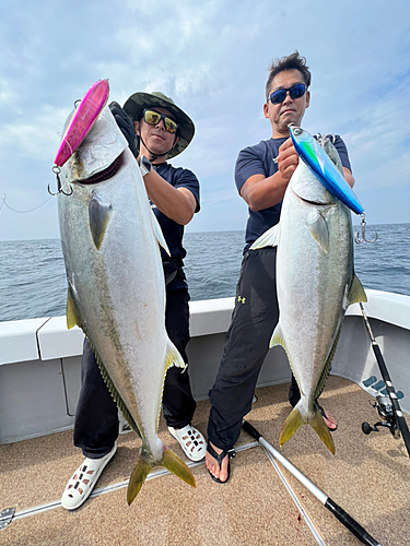 ヒラマサの釣果