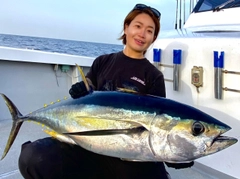 キハダマグロの釣果