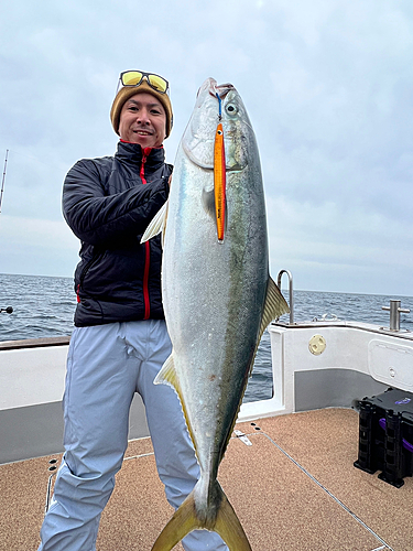 ブリの釣果