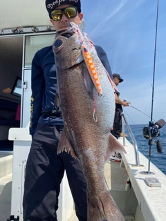 クロムツの釣果