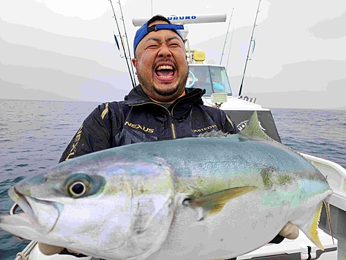 ヒラマサの釣果