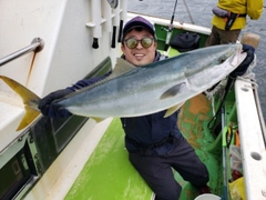 ブリの釣果