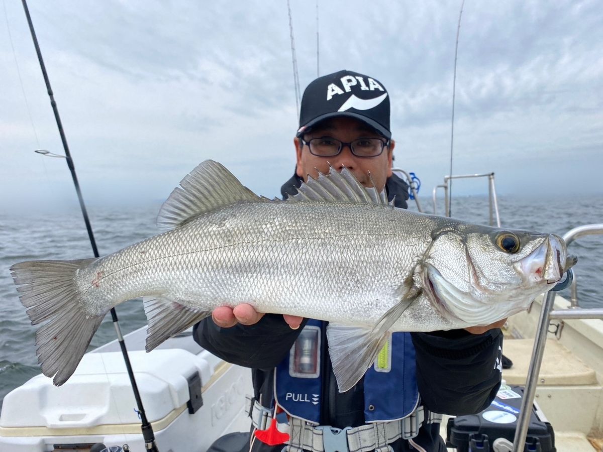 ショア専用アングラーさんの釣果 2枚目の画像