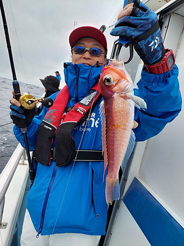 アマダイの釣果