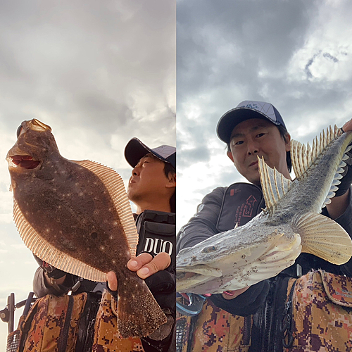 ヒラメの釣果