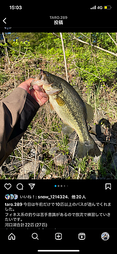 ブラックバスの釣果