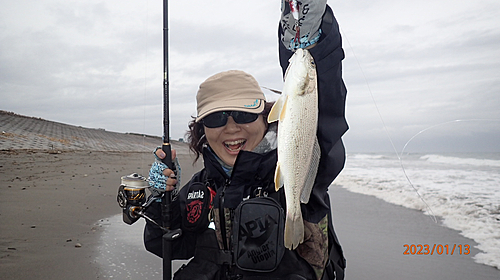 シログチの釣果