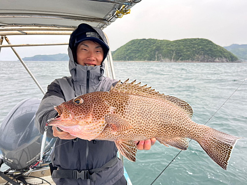 オオモンハタの釣果