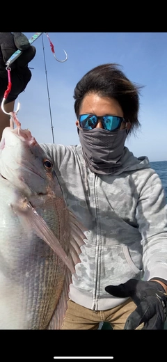 タイの釣果