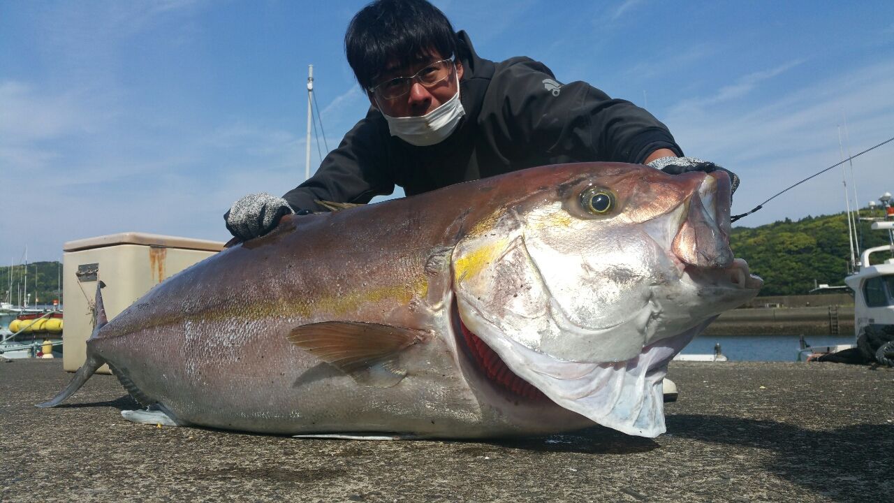 カンパチ