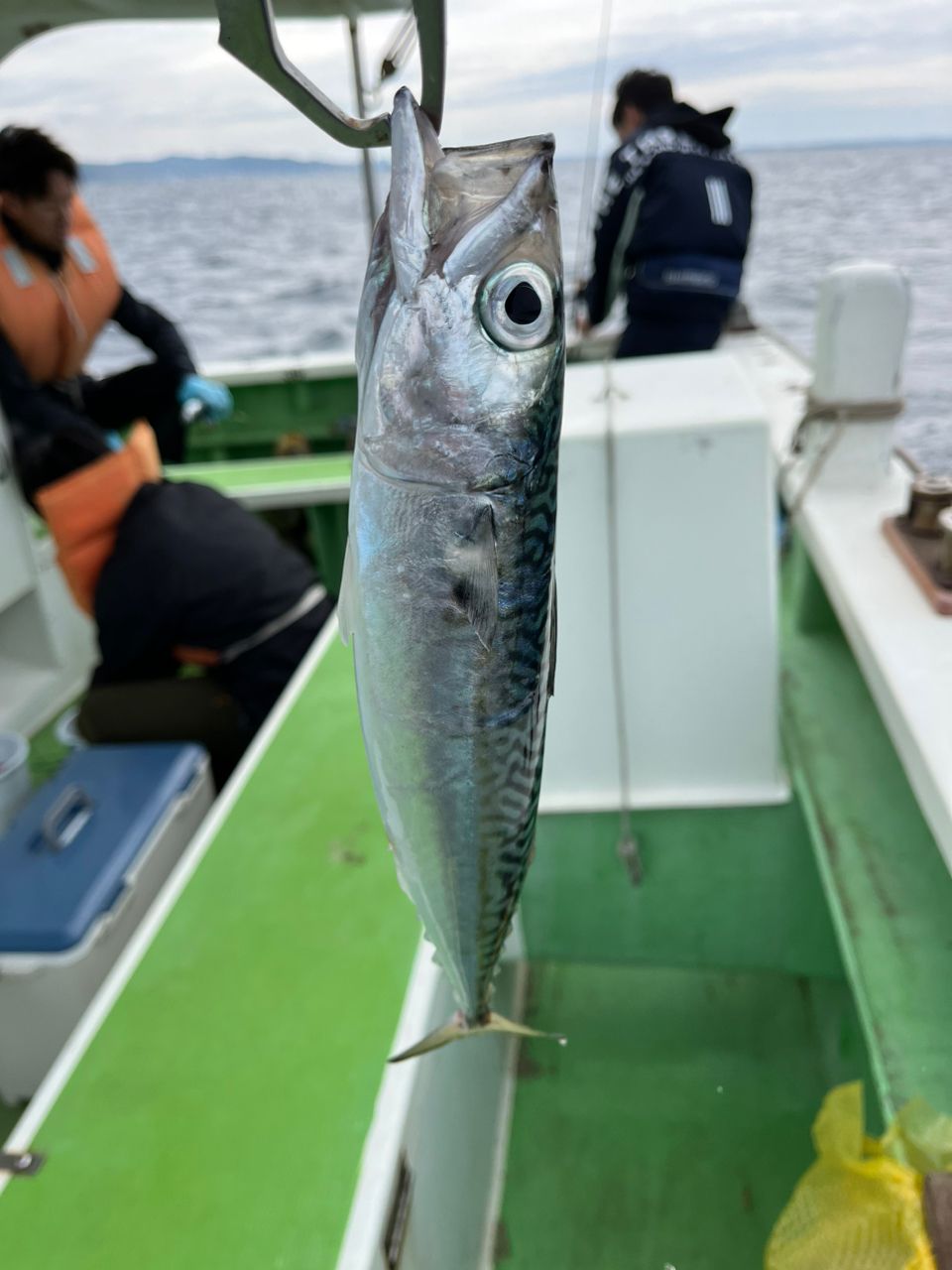 なりたなおとさんの釣果 2枚目の画像