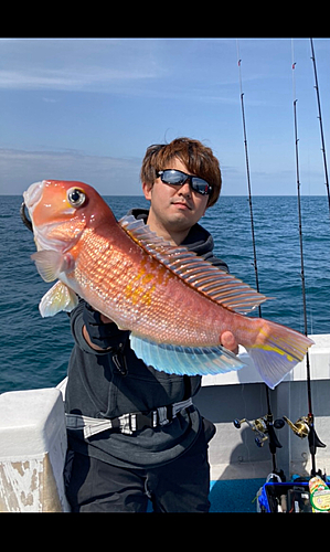 アマダイの釣果