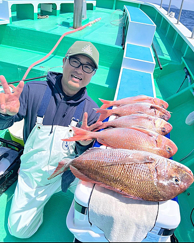 マダイの釣果