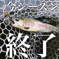 ニジマスの釣果