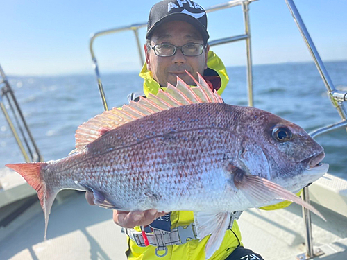 マダイの釣果