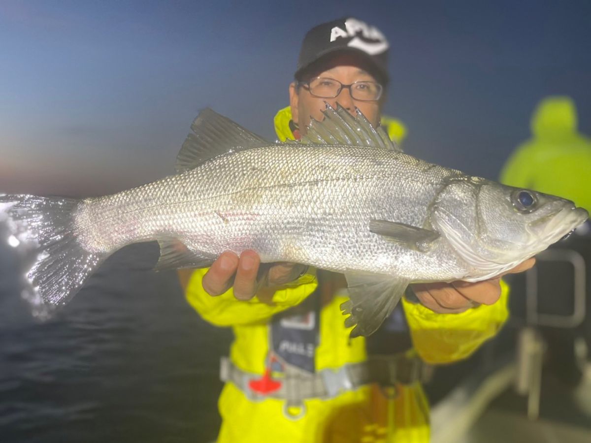 ショア専用アングラーさんの釣果 2枚目の画像