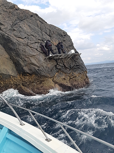 アオブダイの釣果