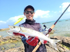 オニカマスの釣果