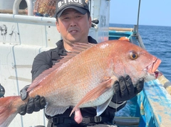 マダイの釣果