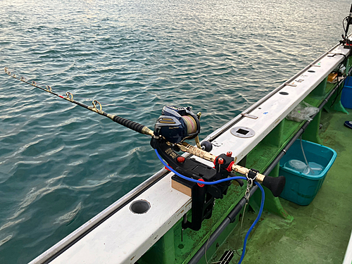 ウッカリカサゴの釣果