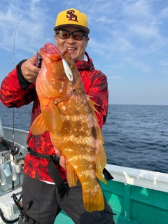 アコウの釣果