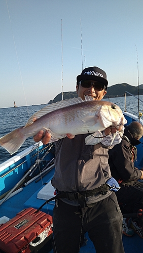 スルメイカの釣果