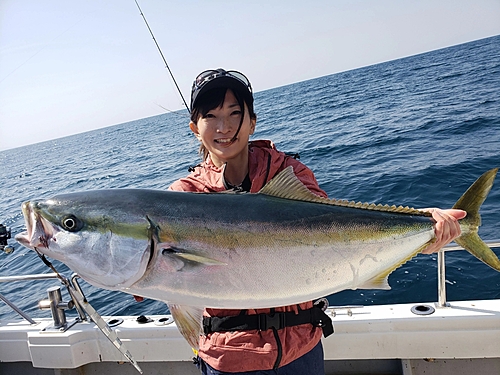 ブリの釣果