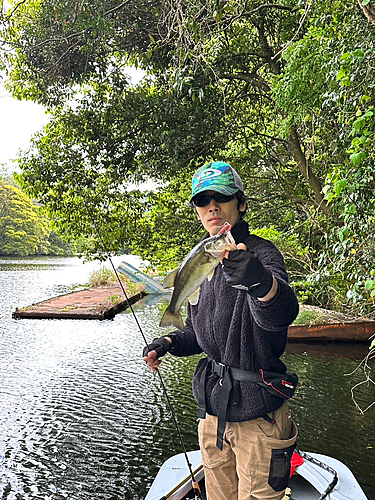 ラージマウスバスの釣果