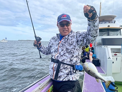 ショウサイフグの釣果